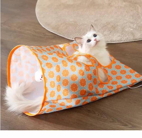 Tunel y bolsa CrujiPlay