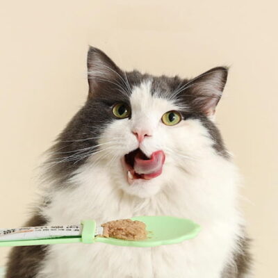 Cuchara dispensadora de Snaks