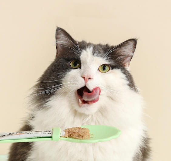 Cuchara dispensadora de Snaks