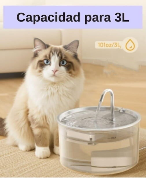 fuente automática de Acero Inoxidable