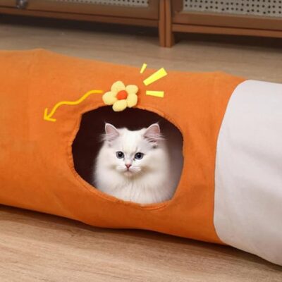 Tunel con gato 2