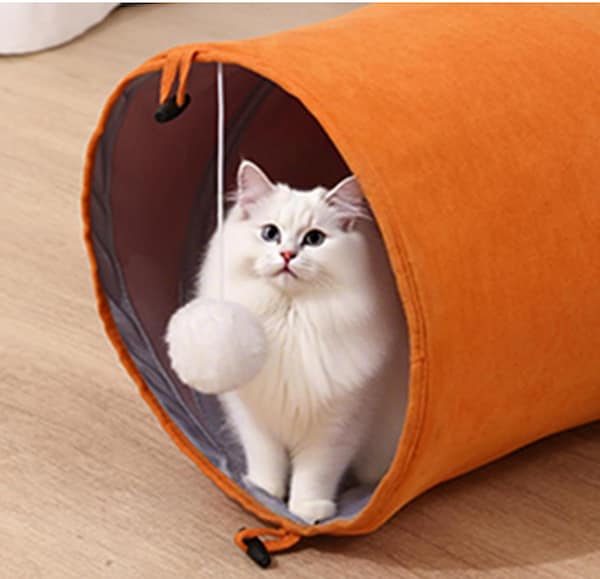 Túnel interactivo para gatos - Imagen 3